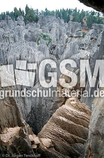 China (5 von 257).jpg